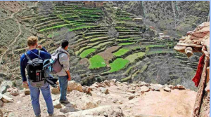 Marrakech Day Trips: Best Short Adventures from the Red City
